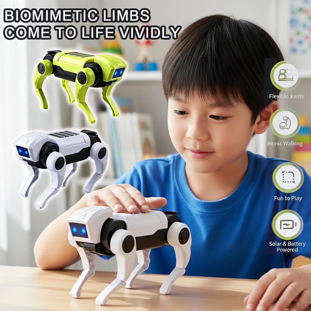 Science Diy Model - DIY 조립 RC 로봇 개 장난감